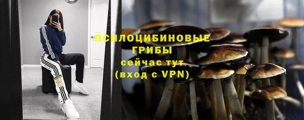 трава Богданович