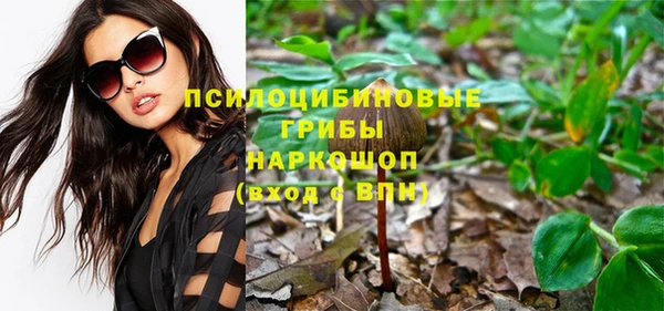 гашиш Богородицк