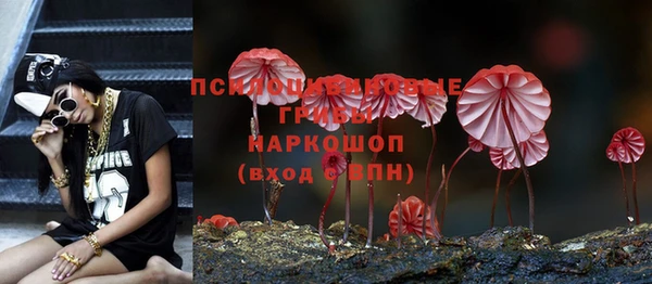 трава Богданович